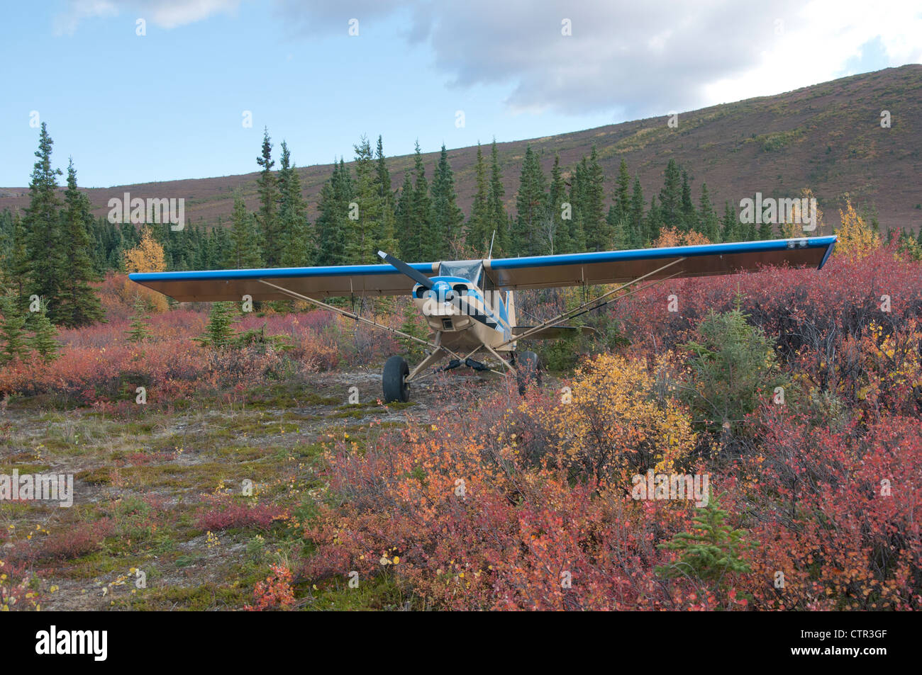 Piper PA-18 avion Supercub stationné sur la piste d'primitif entouré de feuillage d'automne dans le sud de l'Alaska Fairbanks interior Banque D'Images