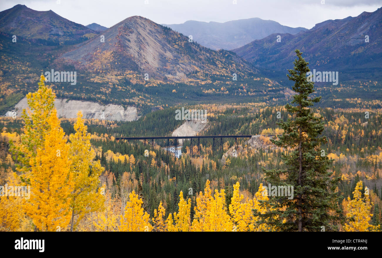 Vue panoramique sur les couleurs de l'automne près de l'entrée du parc national de Denali et préserver, l'intérieur de l'Alaska Banque D'Images