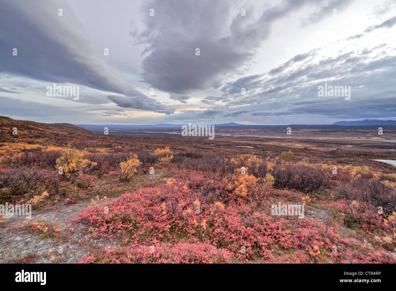 Paysage avec la formation de nuages de tempête au cours de la vallée de la rivière Maclaren, Southcentral Alaska, Automne, HDR Banque D'Images