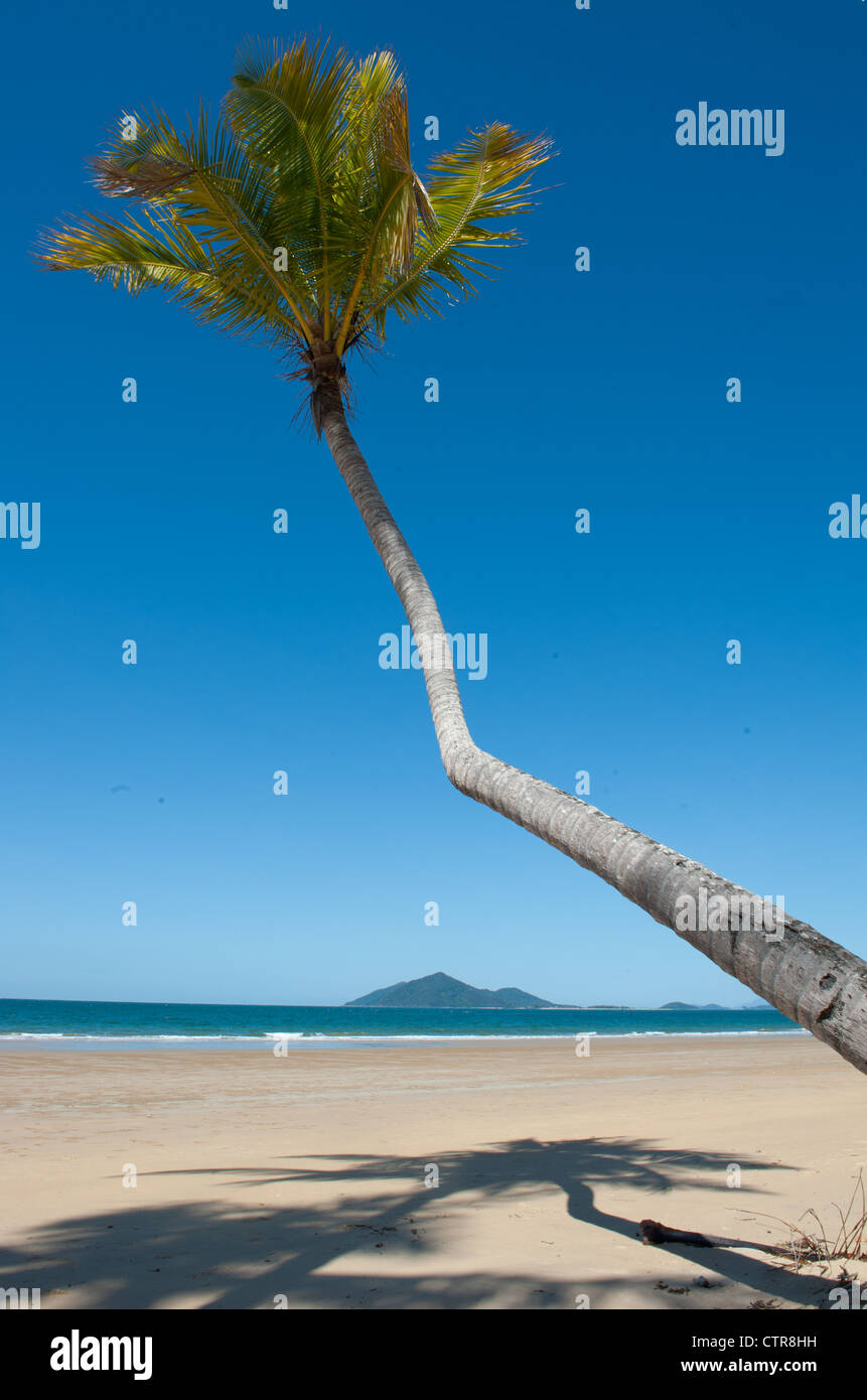 Palmier frangeant la plage de Mission Beach Nord avec vue sur Dunk Island, Queensland du Nord, Sports et loisirs Banque D'Images