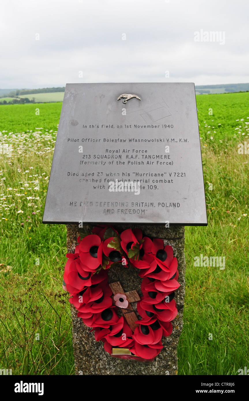 Plaque commémorative de la Seconde Guerre mondiale, le pilote de chasse au-dessus de South Downs Stoughton. Banque D'Images