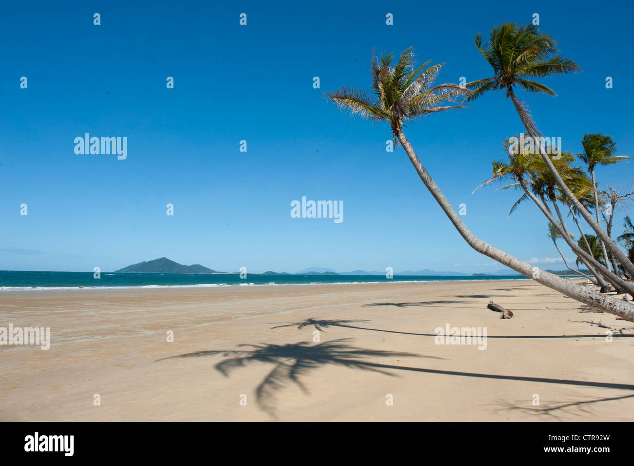 Palmier frangeant la plage de Mission Beach Nord avec vue sur Dunk Island, Queensland du Nord, Sports et loisirs Banque D'Images