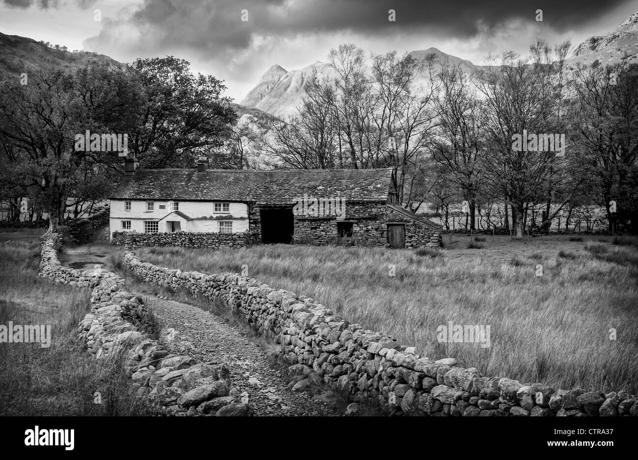 Pied ferme, peu diminué Langdale, Cumbria, Lake District Banque D'Images