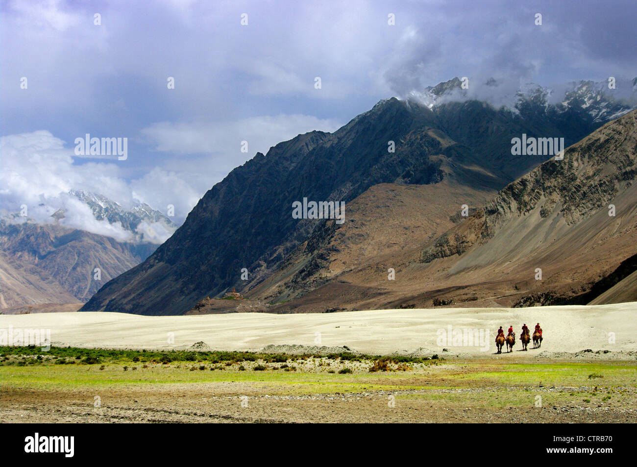 Un groupe de cyclistes de traverser le désert à dos de chameau dans la vallée de Nubra, Ladakh, Inde Banque D'Images