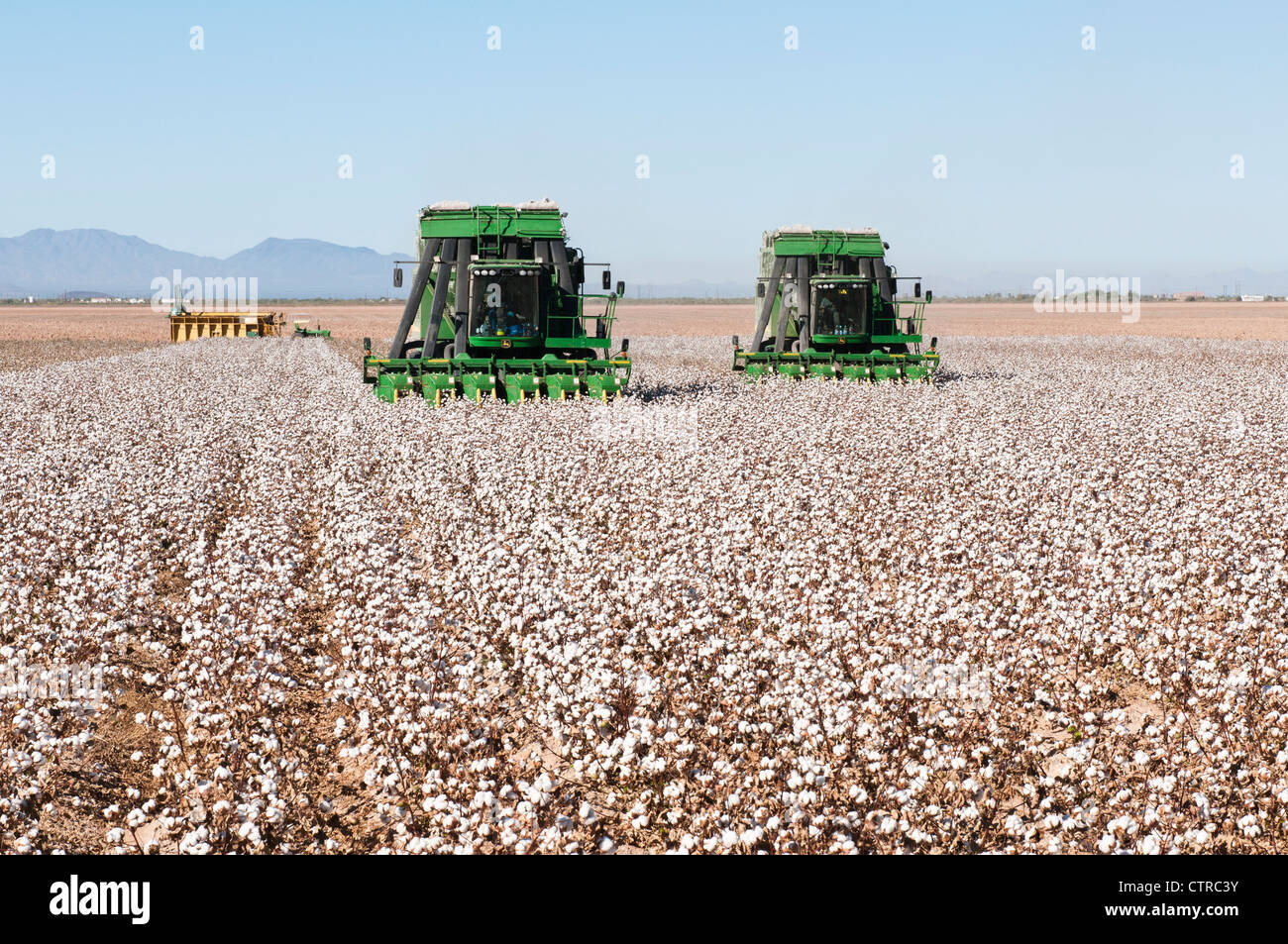 Une paire de machines de préparation de coton la récolte d'un champ de coton en Arizona. Machine d'emballage d'un module est affichée en arrière-plan. Banque D'Images
