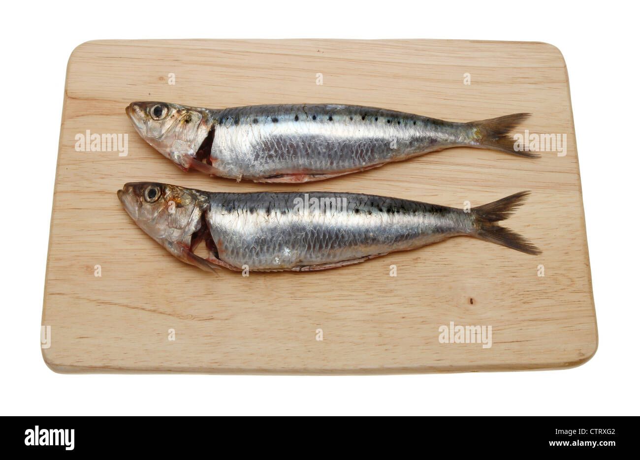 Deux sardines fraîches sur un conseil de préparation des aliments en bois blanc isolé contre Banque D'Images
