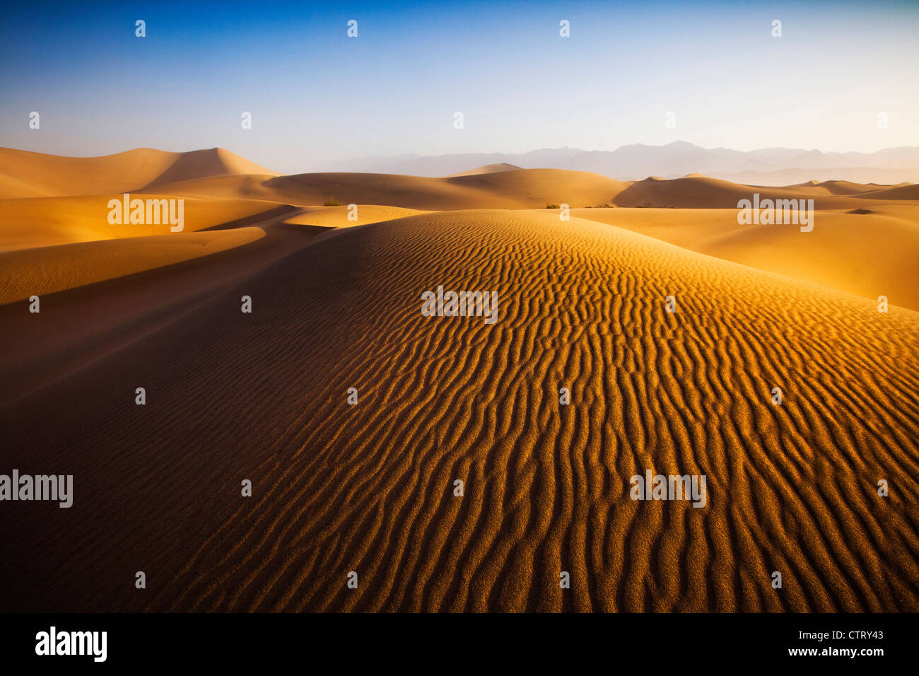 Mesquite Dunes, Death Valley, Californie Banque D'Images