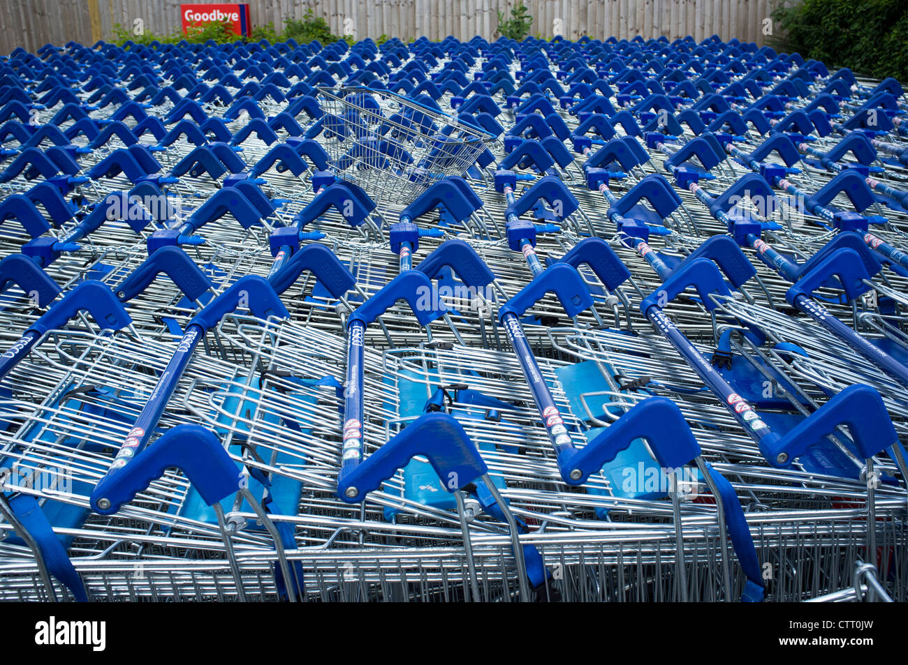 Chariots de supermarché Tesco à Banque D'Images