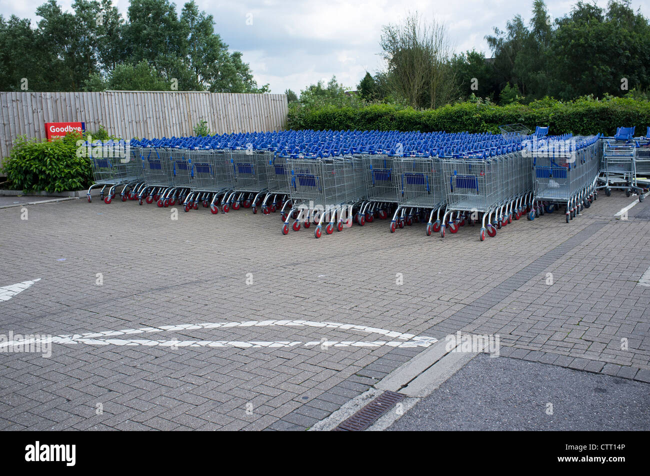 Chariots de supermarché Tesco à Banque D'Images