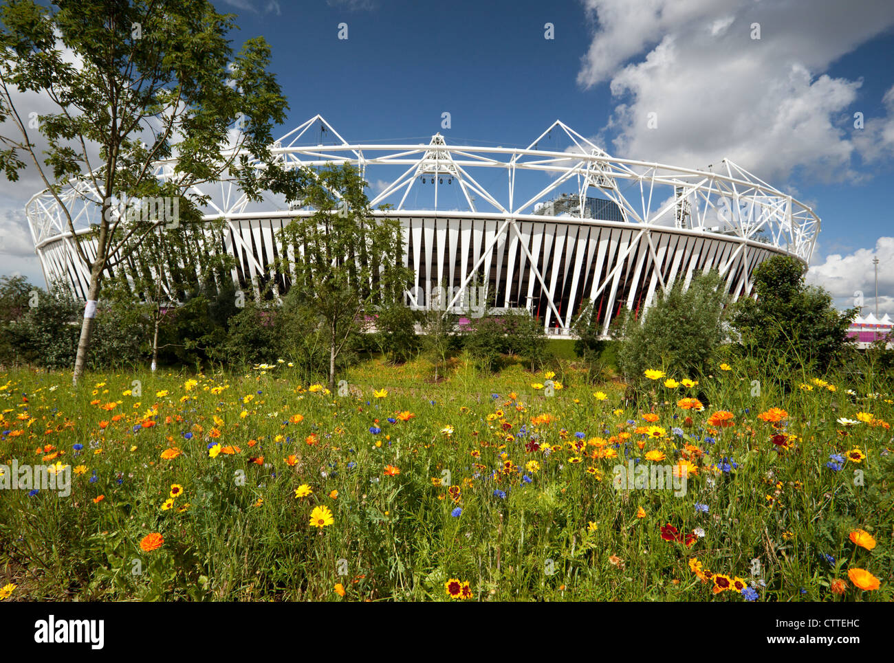 Les Jeux Olympiques de 2012 à Londres - Stade avec des fleurs sauvages en premier plan Banque D'Images