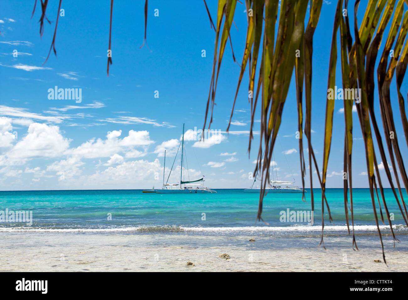 Une belle image de la mer des Caraïbes - Nature Banque D'Images