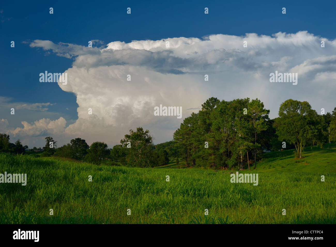 Un Cumulonimbus incus enclume nuage. Photo par Darrell Young. Banque D'Images