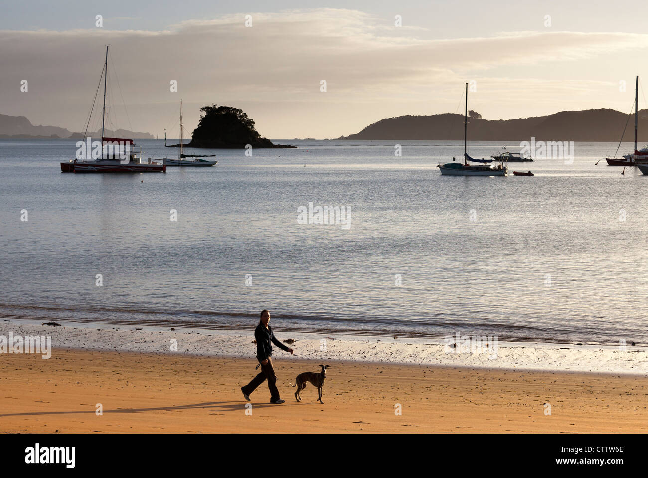 Promener le chien sur la plage 2, Bay of Islands, Nouvelle-Zélande Banque D'Images