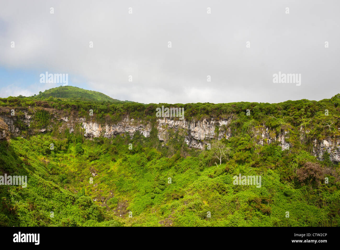 Vue de Los Gemelos / 'Les Jumeaux', l'un d'une paire de dépressions volcaniques, parc national des Îles Galapagos, l'île de Santa Cruz, Galapagos, Equateur Banque D'Images