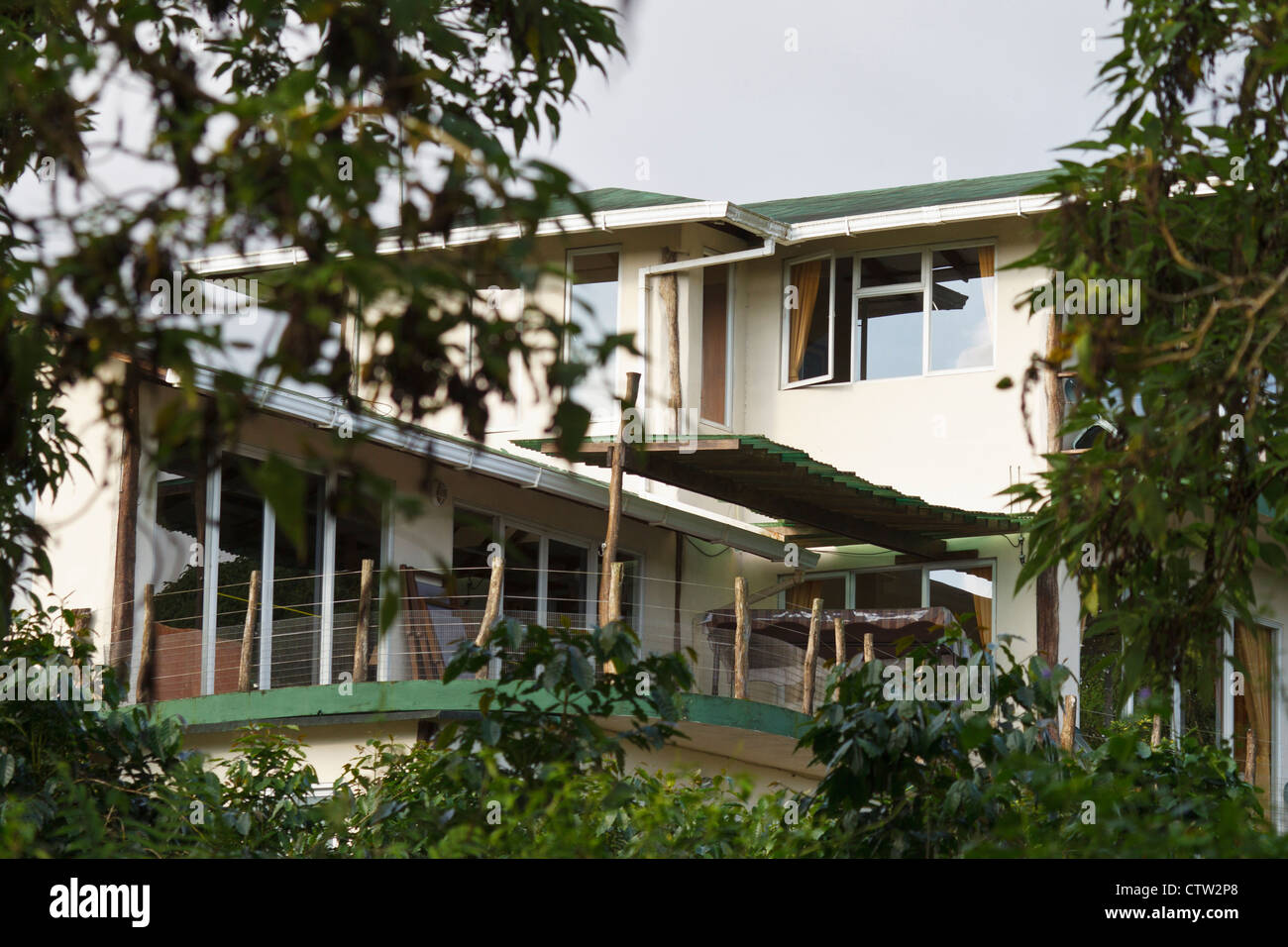 Semilla Verde Guest House, l'île de Santa Cruz, Galapagos, Equateur Banque D'Images
