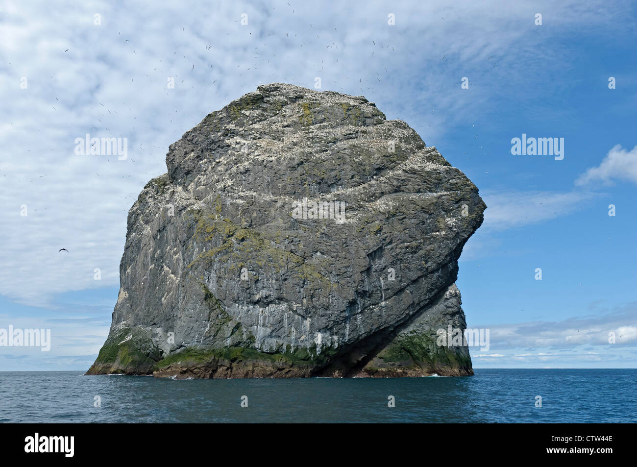 Stac Lee dans l'archipel de Saint Kilda, avec colonie de fous de bassan (Morus bassanus). L'Écosse. De juin. Banque D'Images