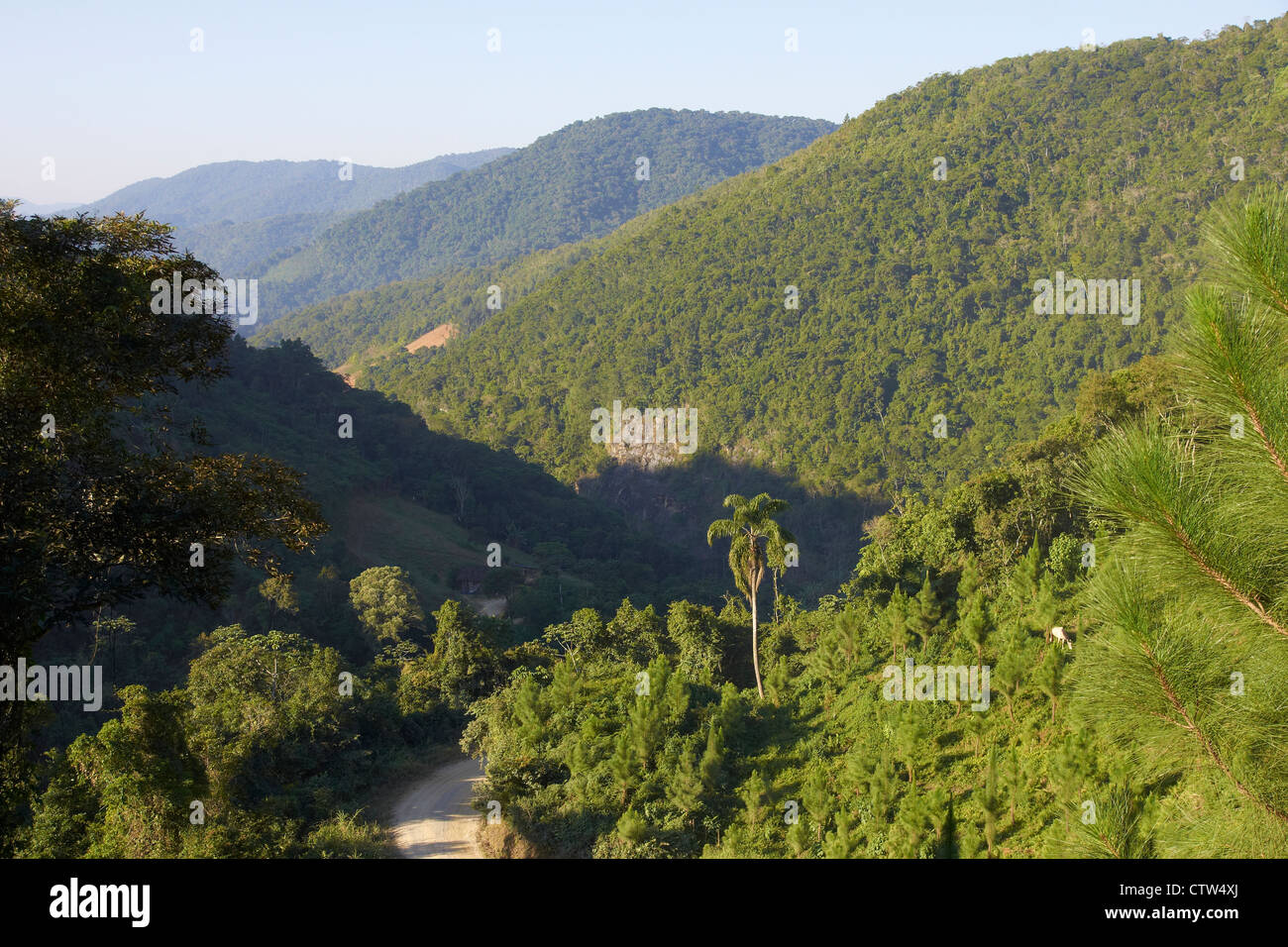 Collines et vallées dans la vallée haute de la rivière Itajai-Mirim Banque D'Images