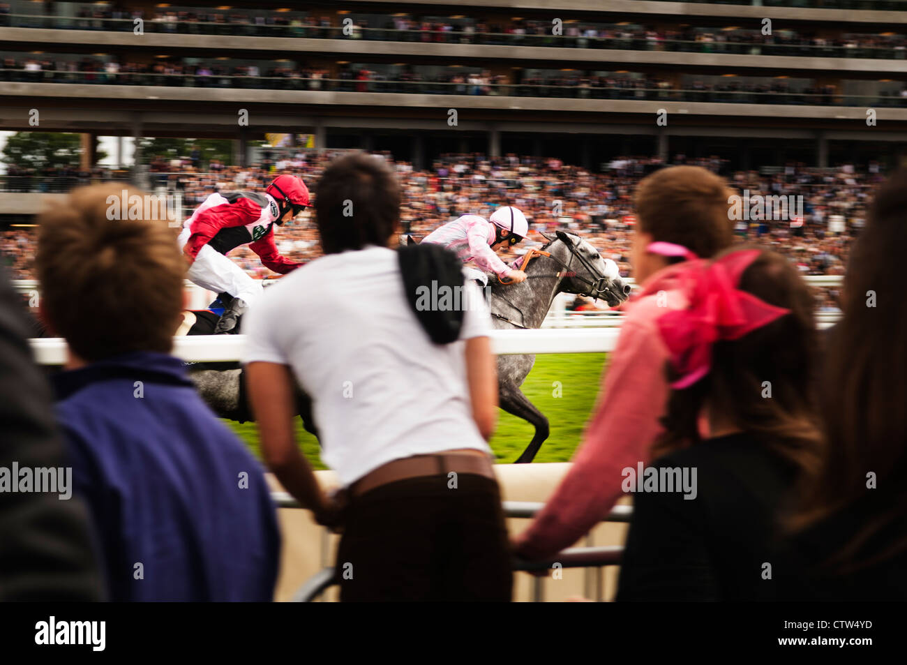 Chevaux au Royal Ascot. Banque D'Images