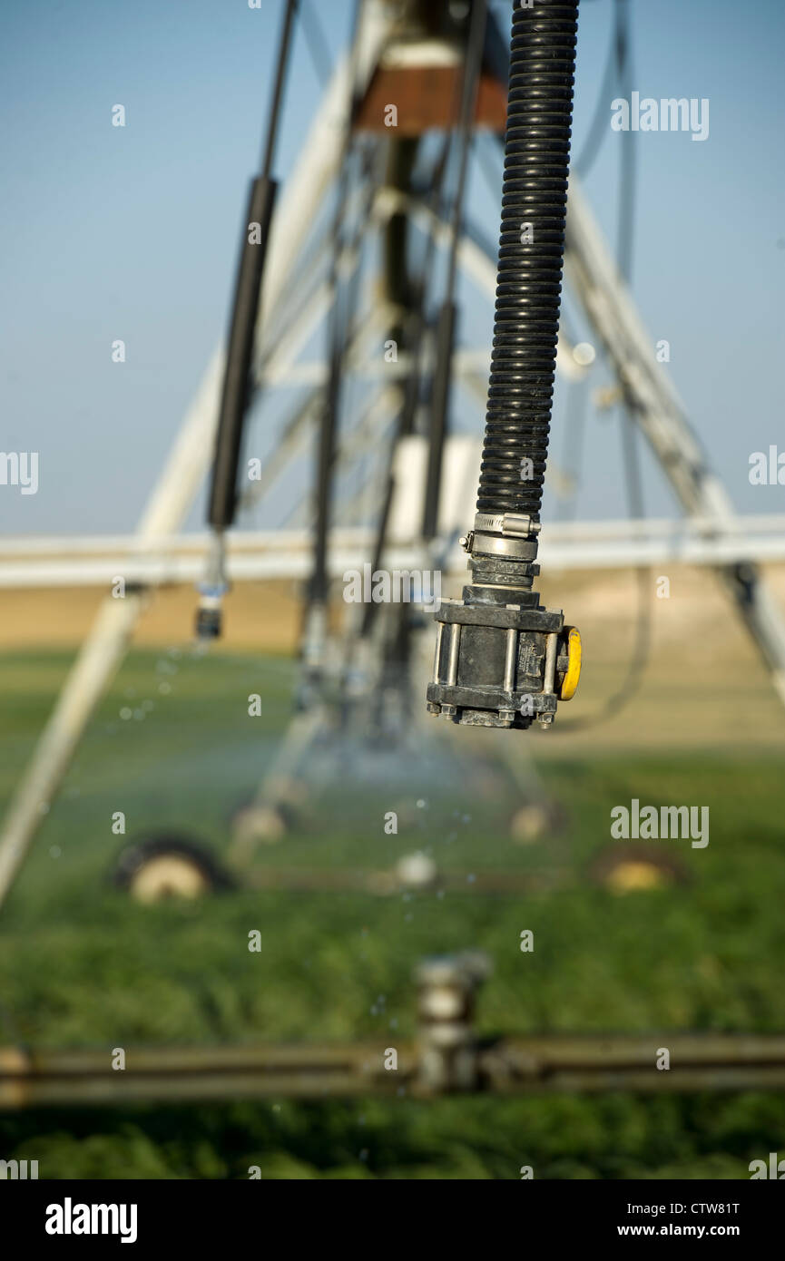 Système d'irrigation sur une ferme à Leoti, Kansas. Banque D'Images