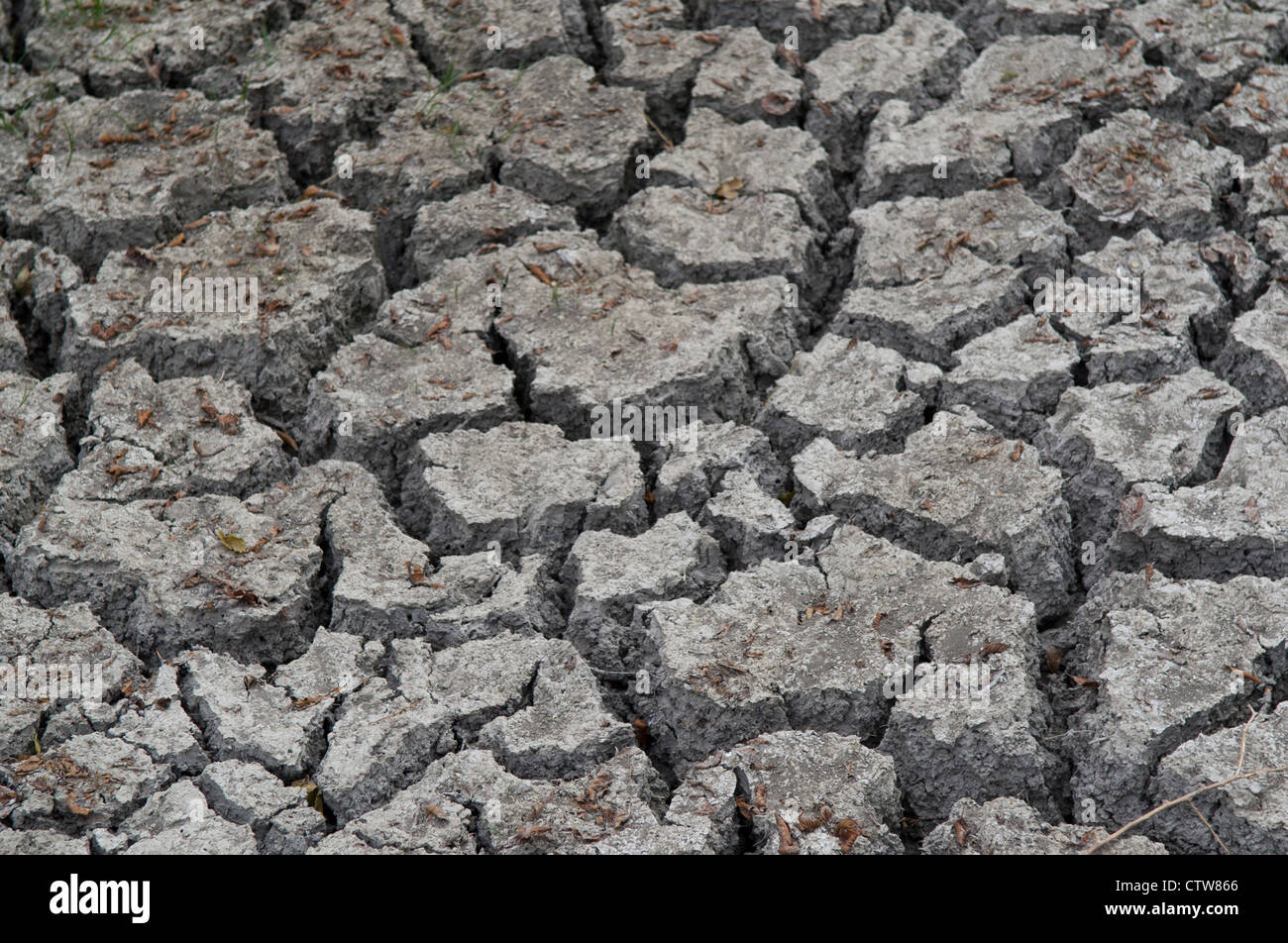 Certaines parties de l'embranchement nord de Cedar Creek ont séché complètement juste à l'extérieur de Ness City, Kansas. Banque D'Images