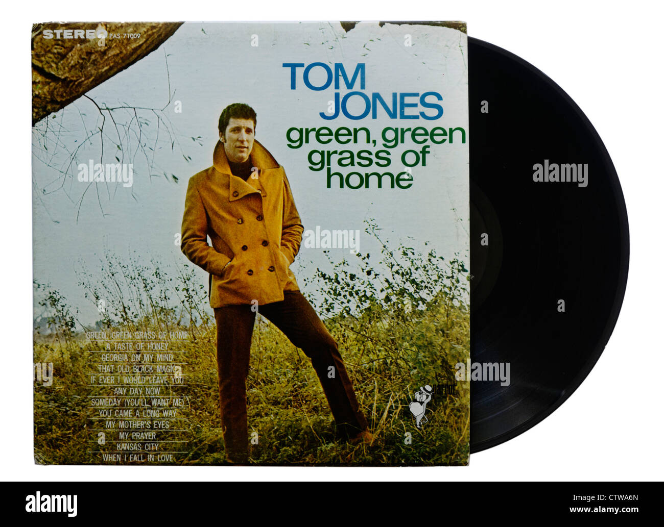 Green Green Grass of Home par Tom Jones Banque D'Images