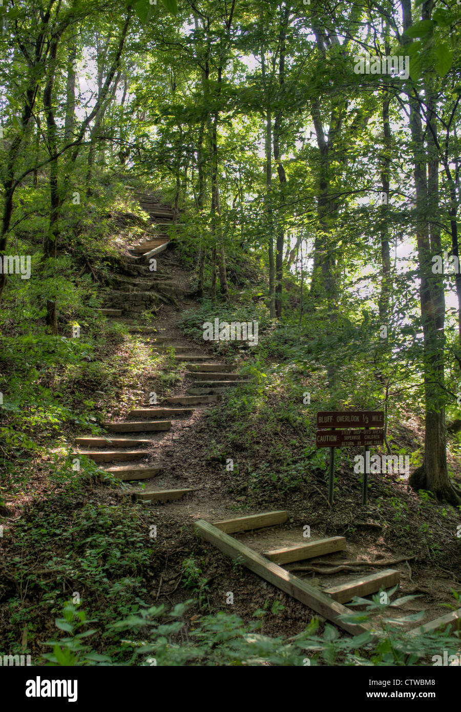 Bluff donnent sur sentier, Harpeth River State Park, New York Banque D'Images