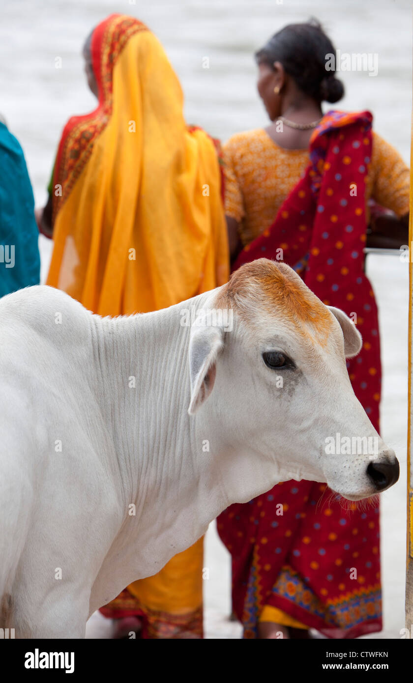 Les gens d'habitants de l'Inde Banque D'Images