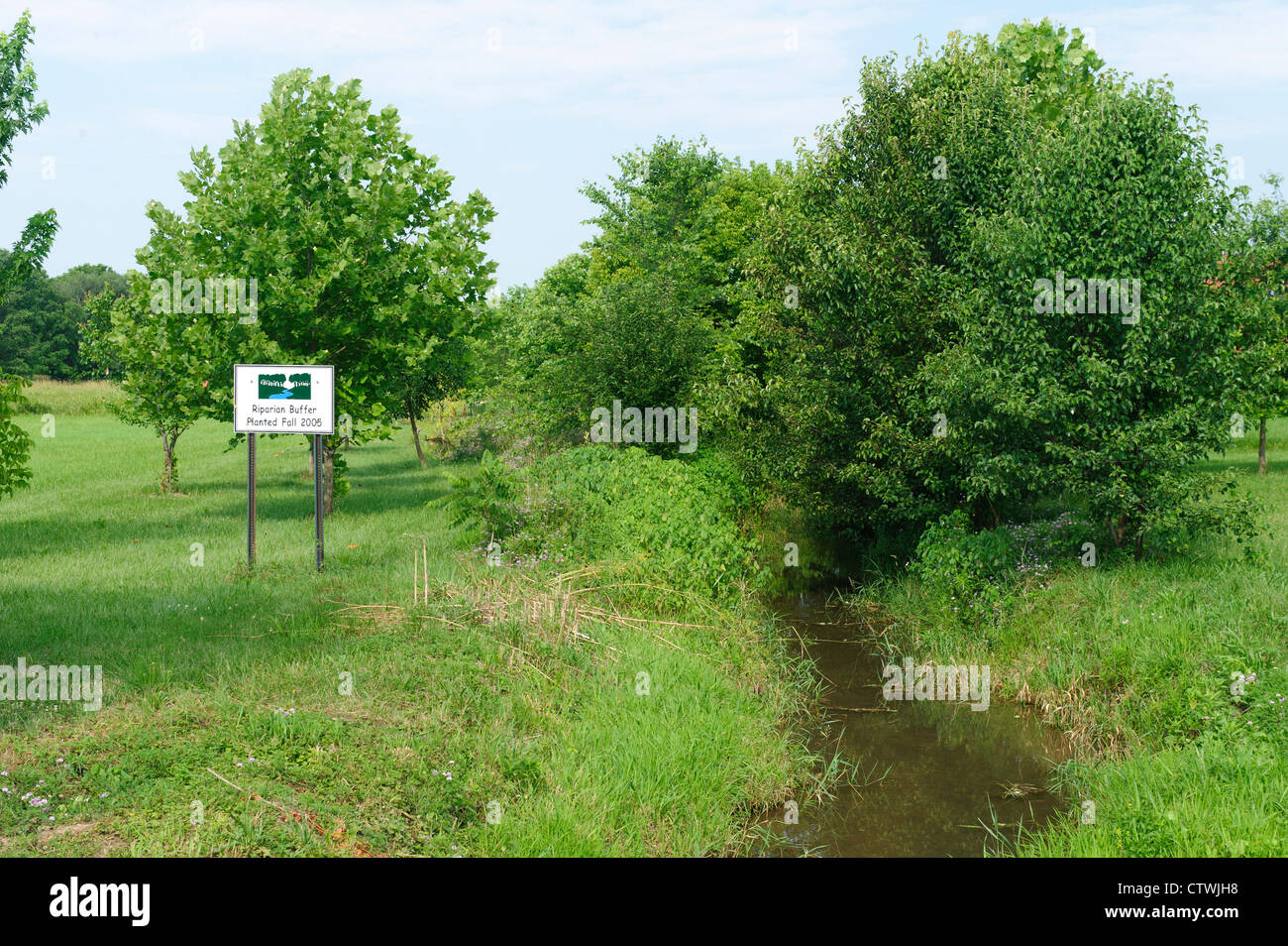 Zone tampon riveraine LE LONG DE LA CROISSANCE DES BANQUES SWARR EXÉCUTER Lancaster, Pennsylvanie Banque D'Images