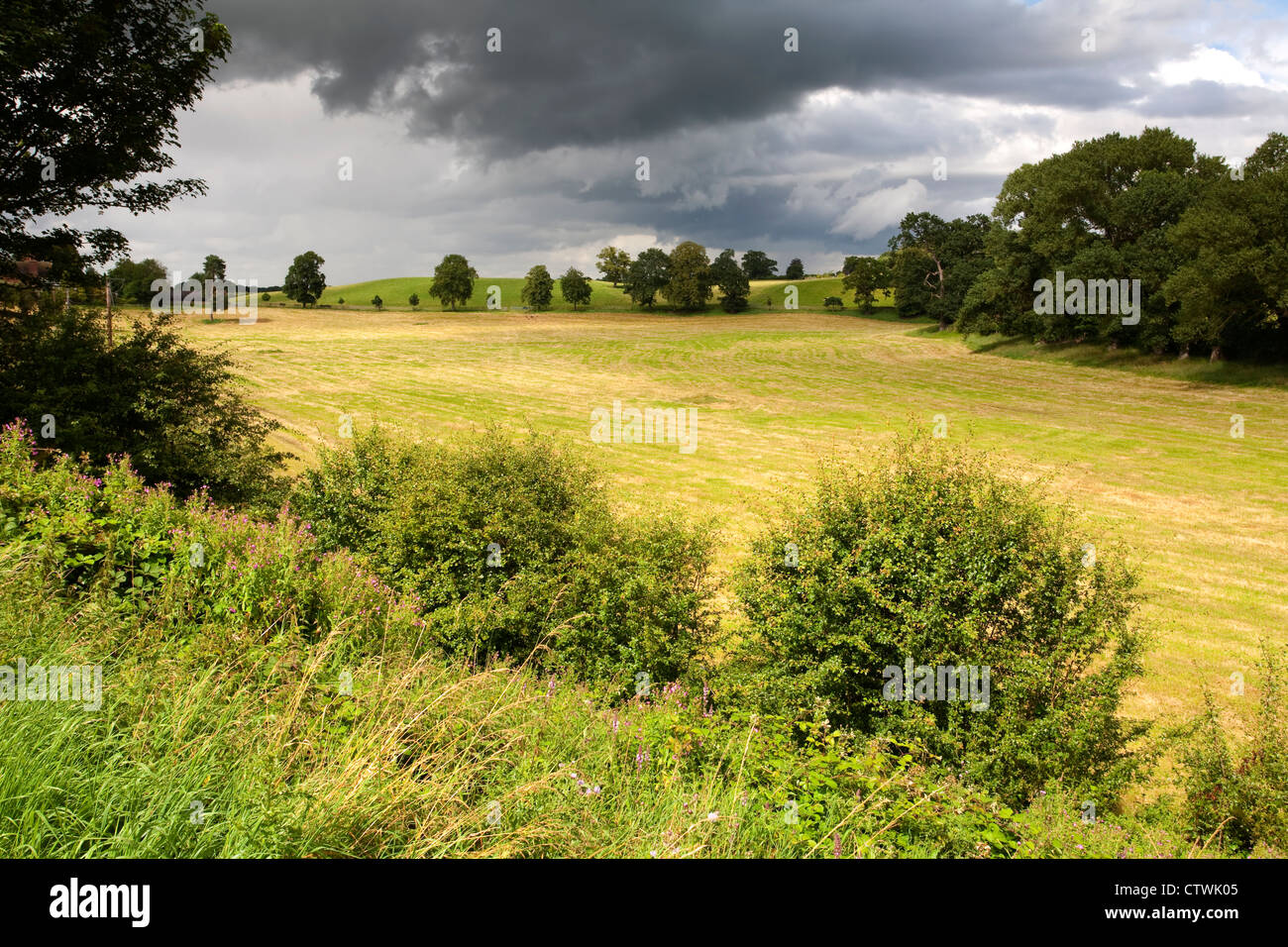 Vue en direction nord vers Nantwich des rives du canal de Shropshire Union près de Audlem. Banque D'Images