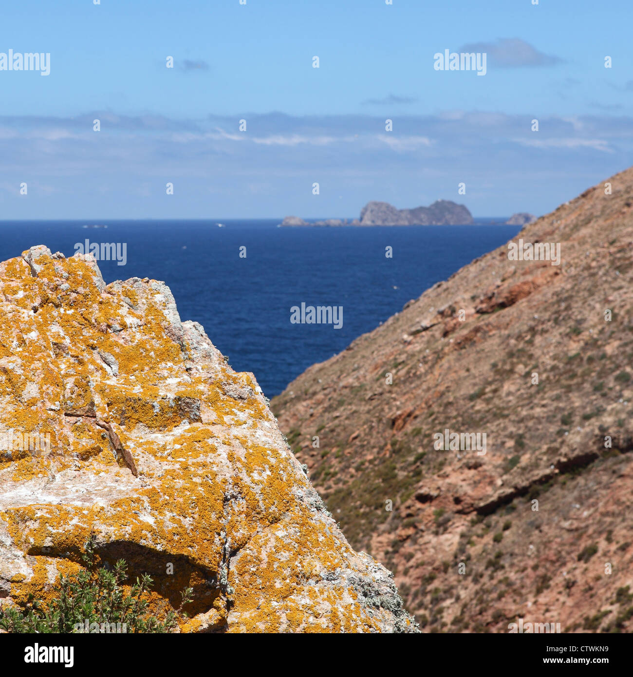 Des roches couvertes de lichen sur les îles Berlengas dans l'océan Atlantique, au large du Portugal. Banque D'Images