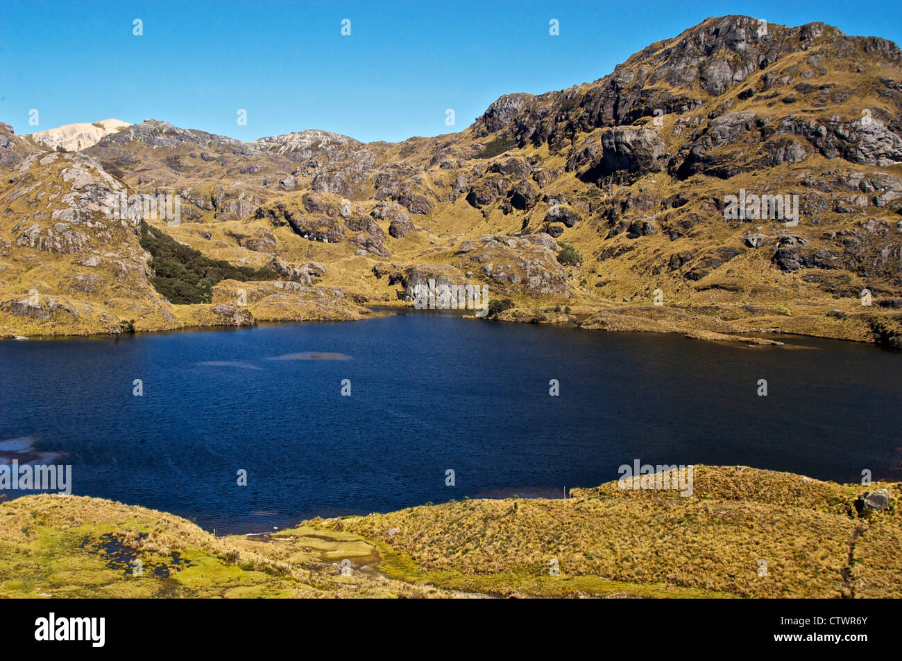 Beau paysage du Parque Cajas, en Équateur. Banque D'Images