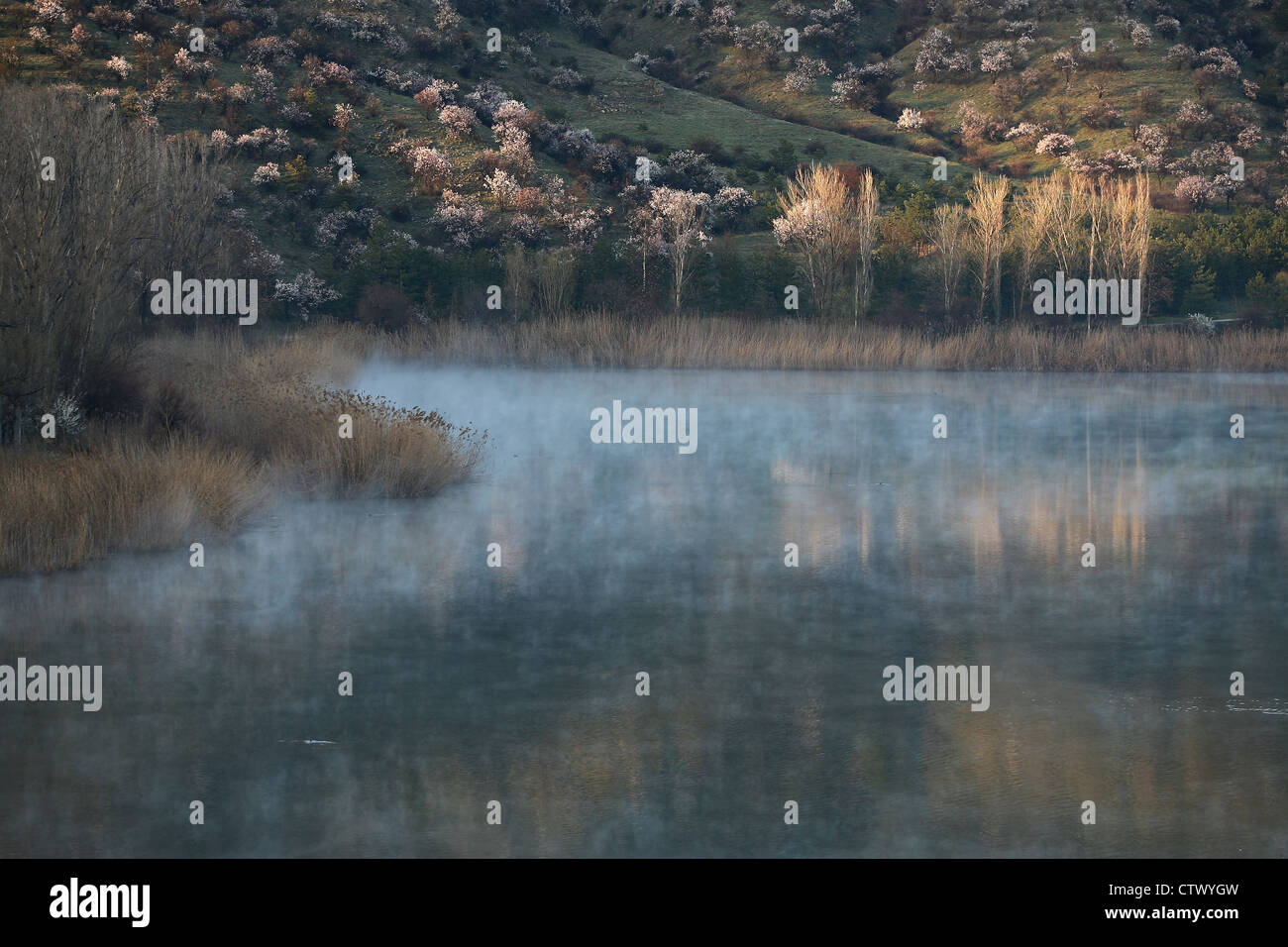 Brume sur le lac de Eymir Ankara Turquie Banque D'Images