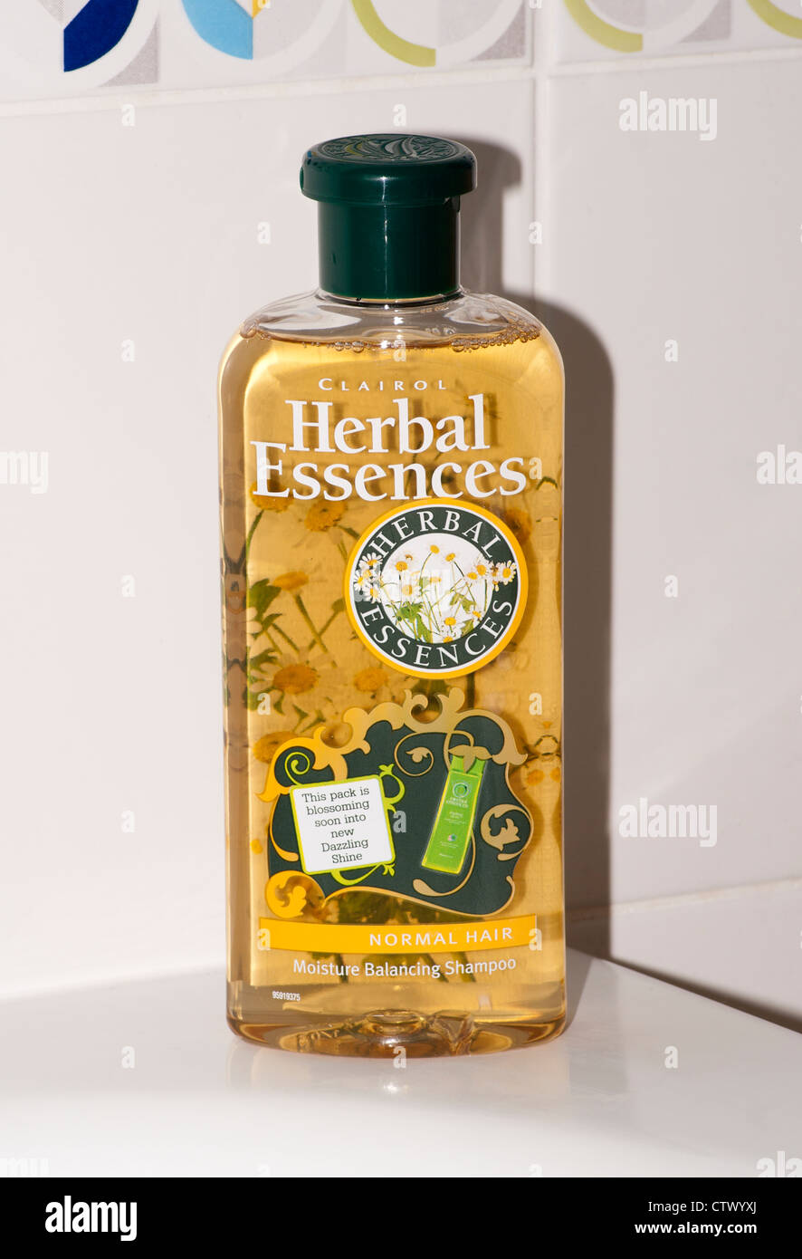 Bouteille de shampooing cheveux Clairol Herbal Essences Banque D'Images