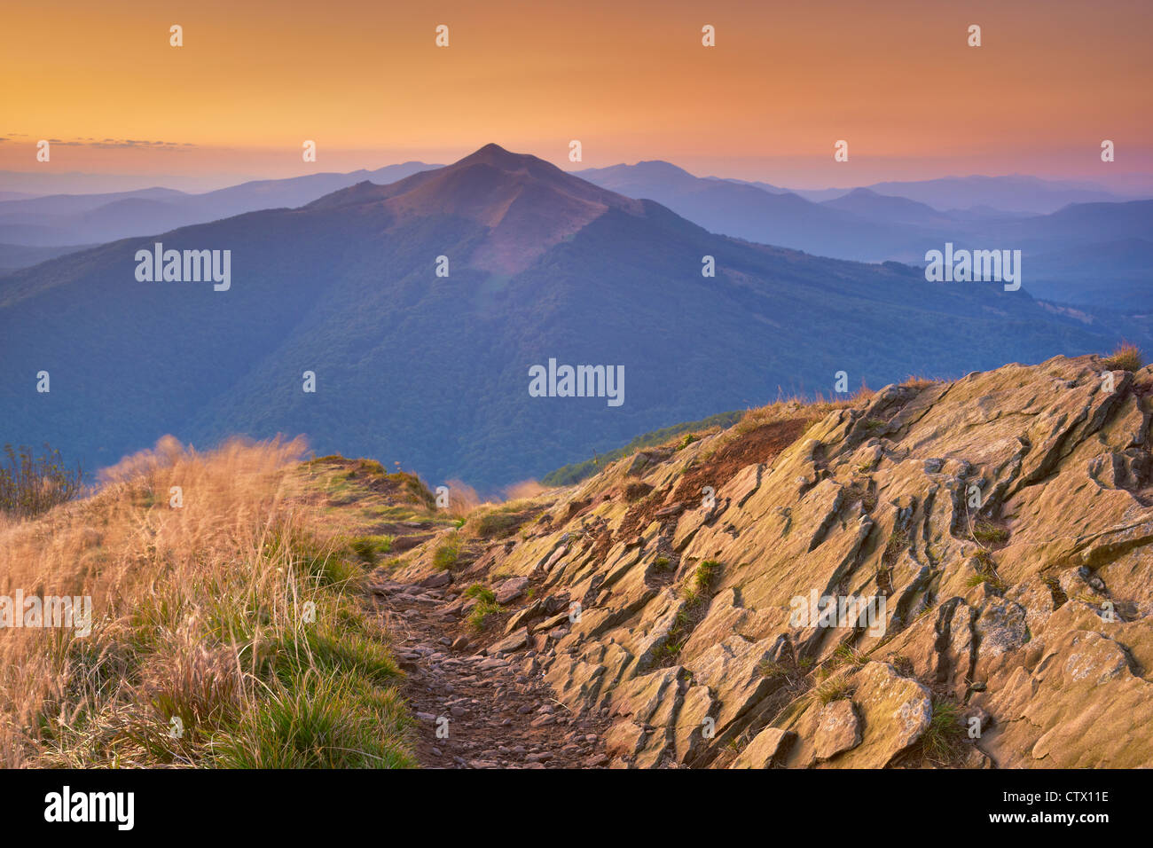 Le Parc National de Bieszczady, avant le lever du soleil, la Pologne, l'Europe Banque D'Images