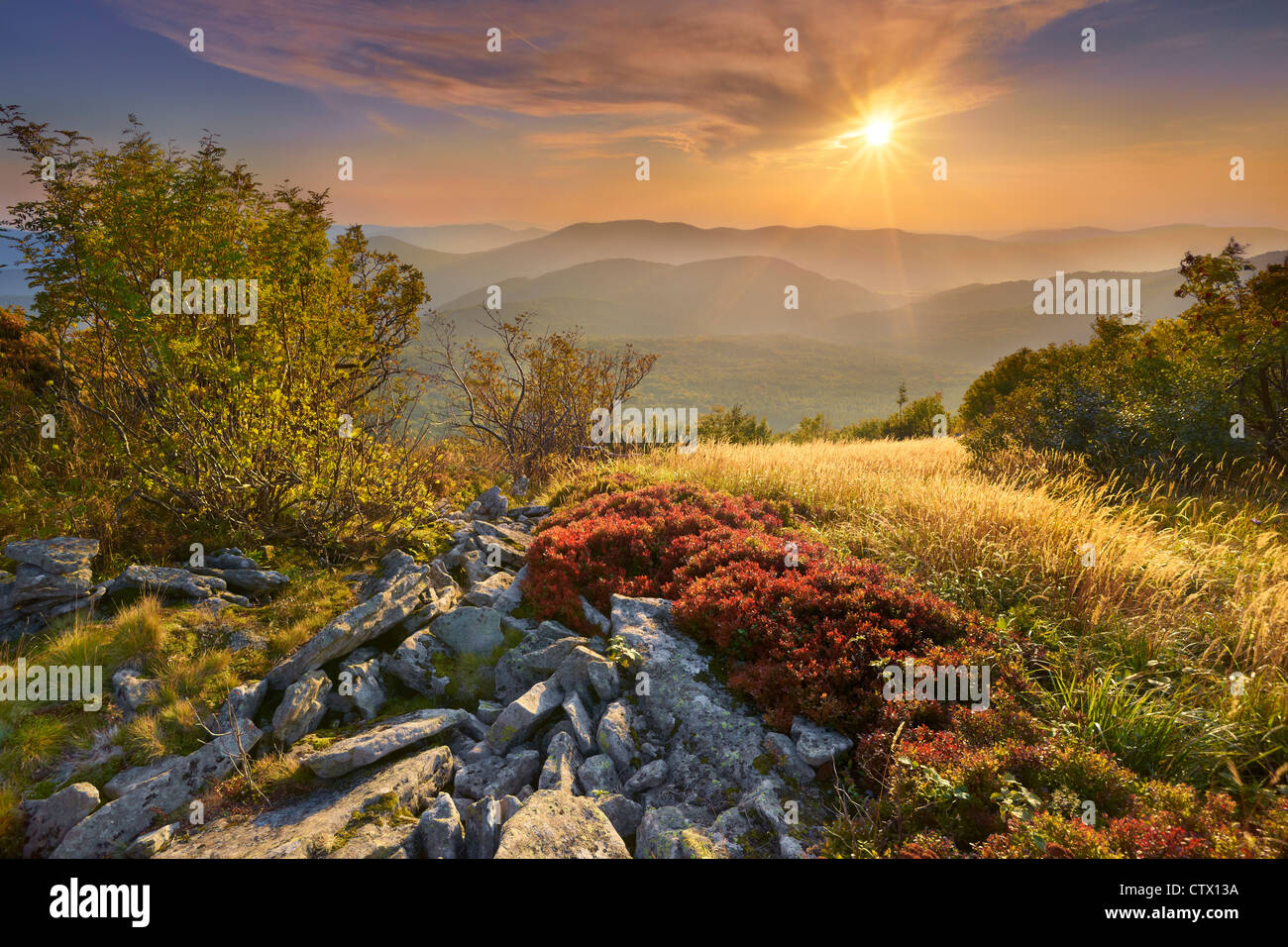 Le Parc National de Bieszczady, Pologne, Europe Banque D'Images