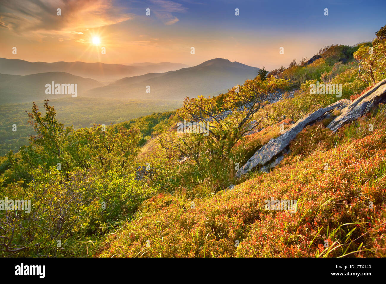 Paysage d'automne dans le Parc National de Bieszczady, Pologne Banque D'Images