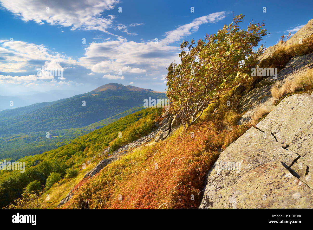 Le Parc National de Bieszczady, Pologne, Europe Banque D'Images