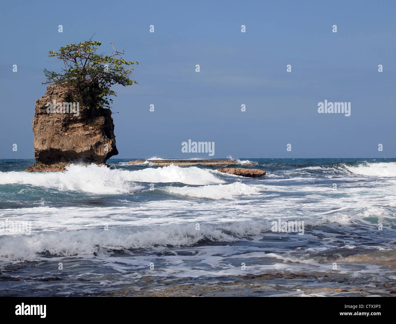 Les petites vagues se brisant sur le récif avec un îlot rocheux, la côte caraïbe du Costa Rica, Amérique Centrale Banque D'Images
