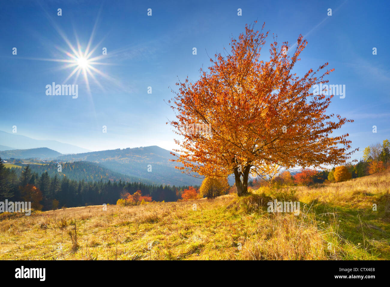 Scène d'automne dans les montagnes de Beskidy, Pologne Banque D'Images