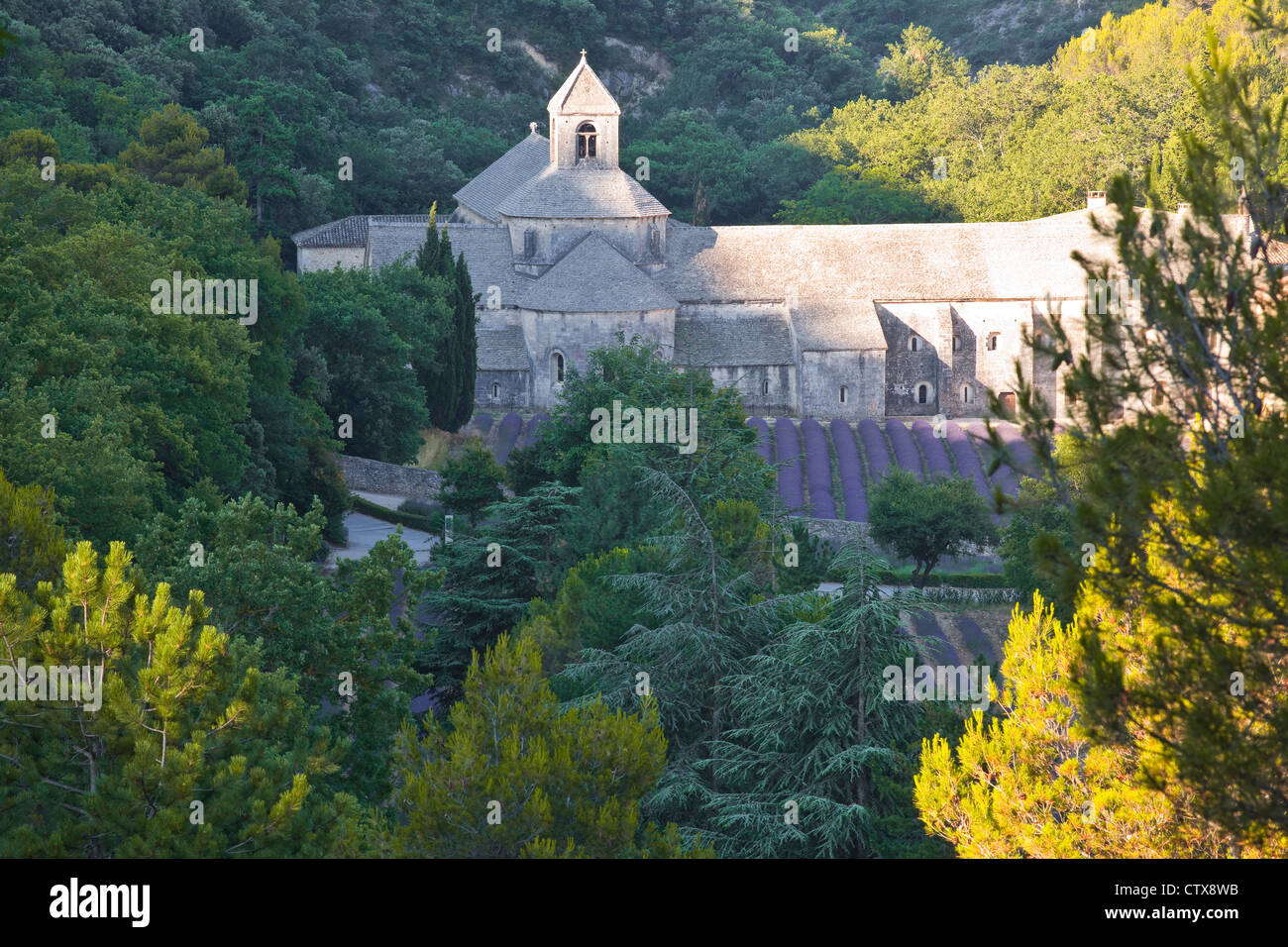 Abbaye de Sénanque près de Gordes en Provence. Banque D'Images