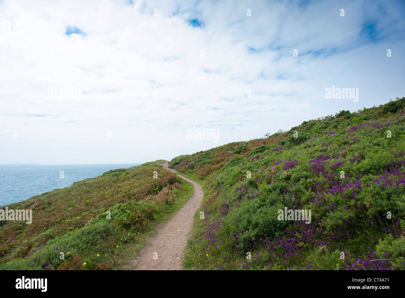 Un sentier côtier près de St Davids, Pembrokeshire, Pays de Galles Banque D'Images