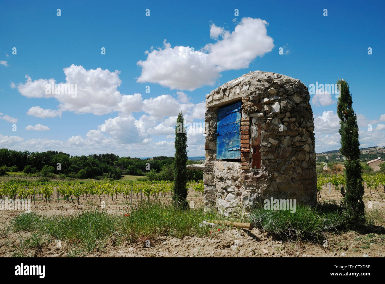 Une cabane en pierre sèche bien dans un vignoble à Séguret, Vaucluse, Provence, France. Banque D'Images