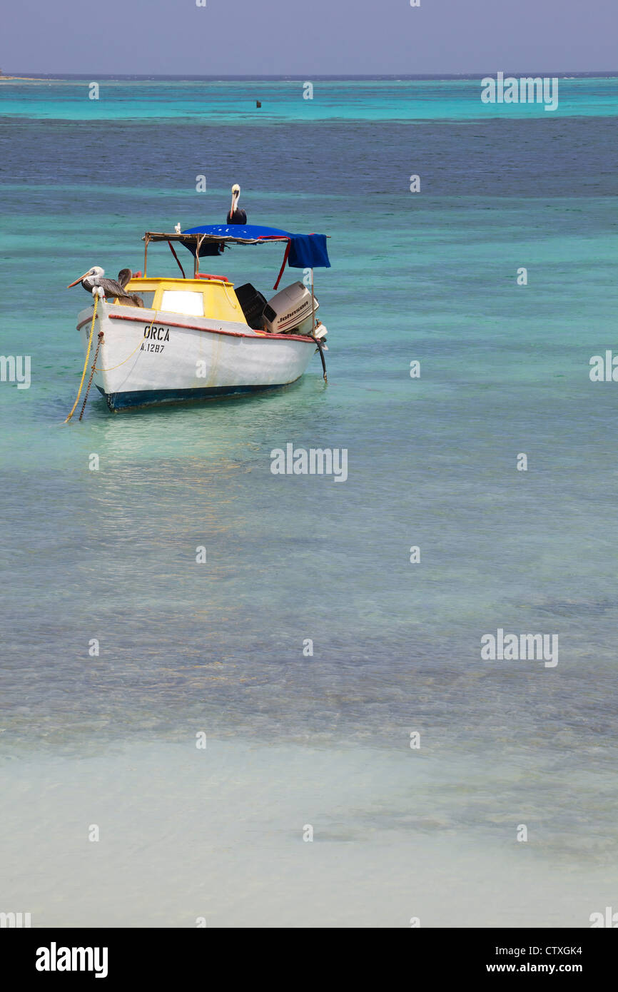 Les pélicans sur un bateau de pêche dans les Caraïbes Banque D'Images