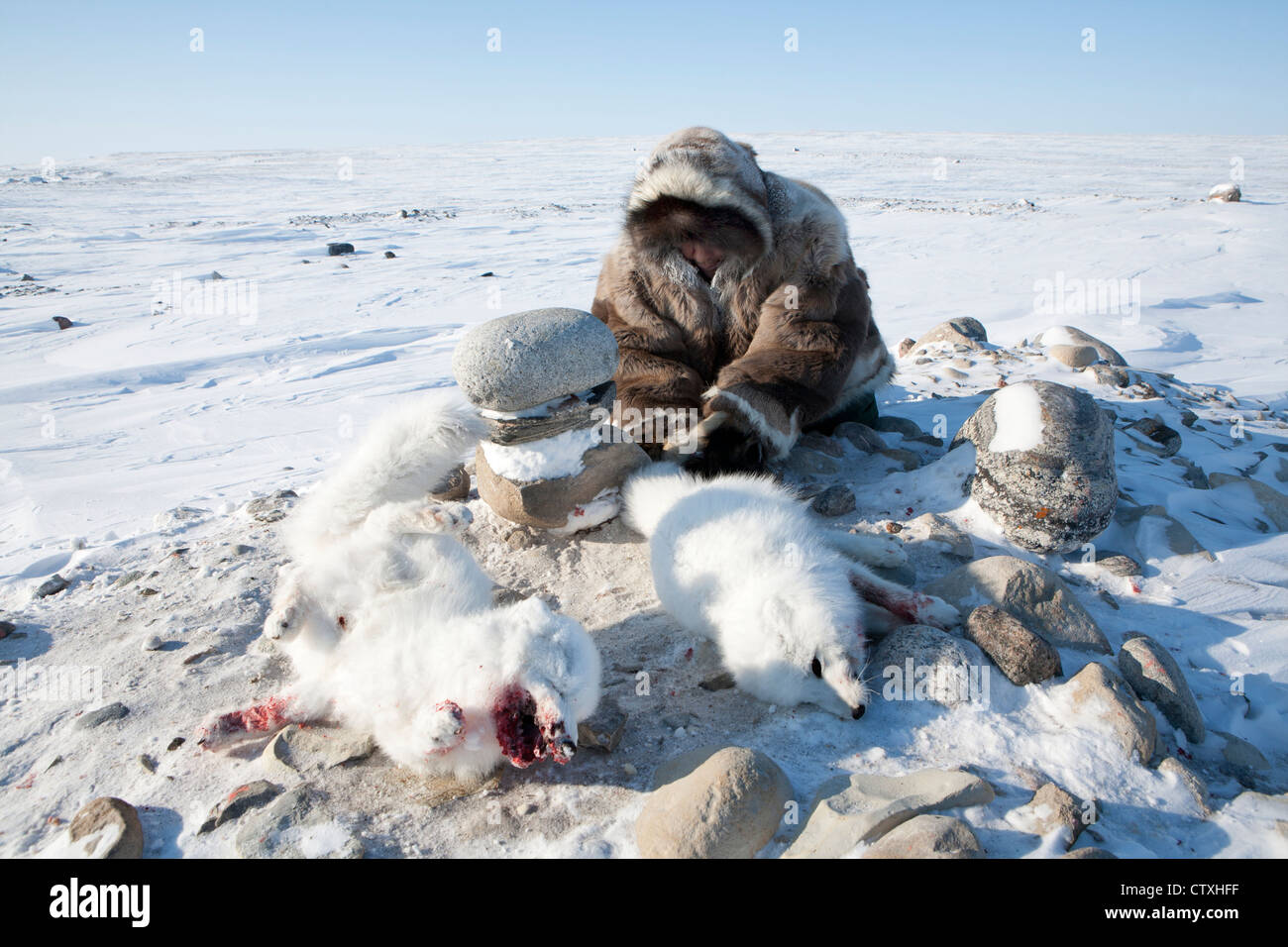 Les Inuits sont la chasse sur l'northpole Banque D'Images