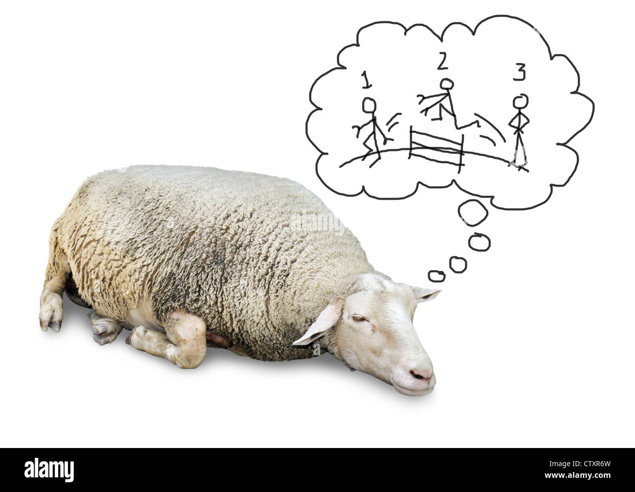 Détails d'un grand couchage très mignon avec beaucoup de laine de mouton, isolé sur blanc avec copie espace. Banque D'Images