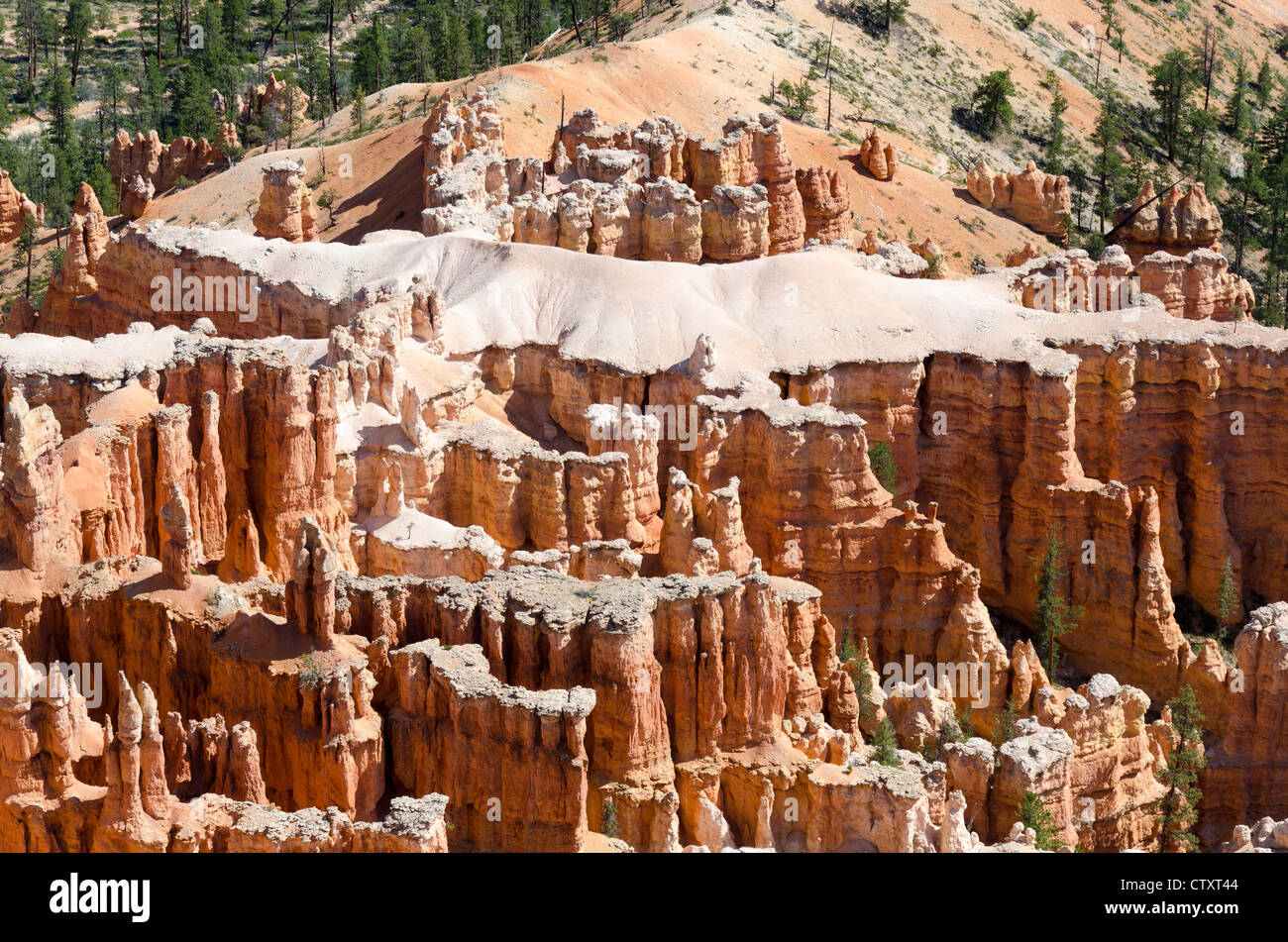 Scène dans le Parc National de Bryce Canyon dans l'Utah aux États-Unis d'Amérique Banque D'Images