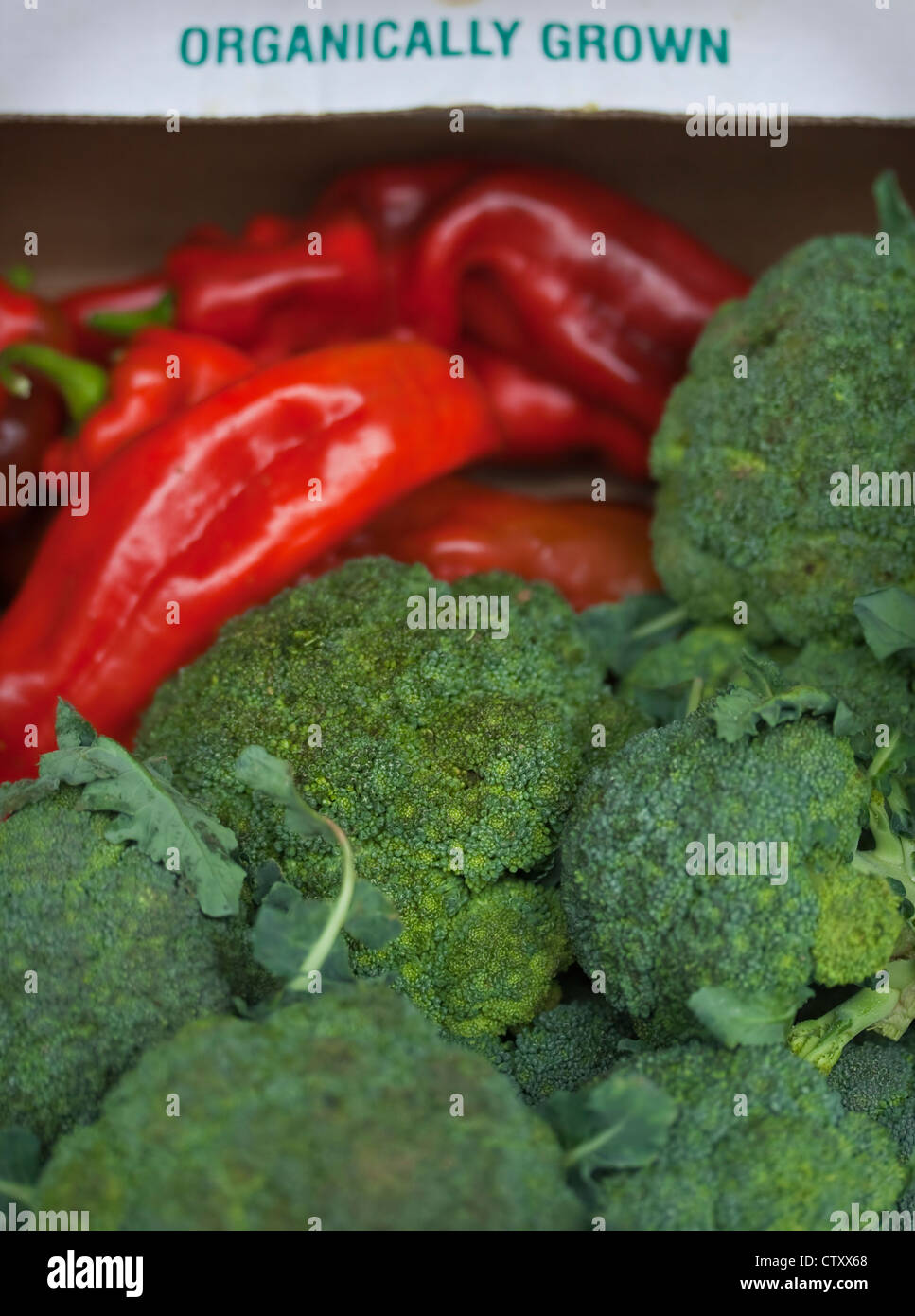 Légumes issus de l'écran, y compris le brocoli et poivrons rouges, Devon, UK Banque D'Images