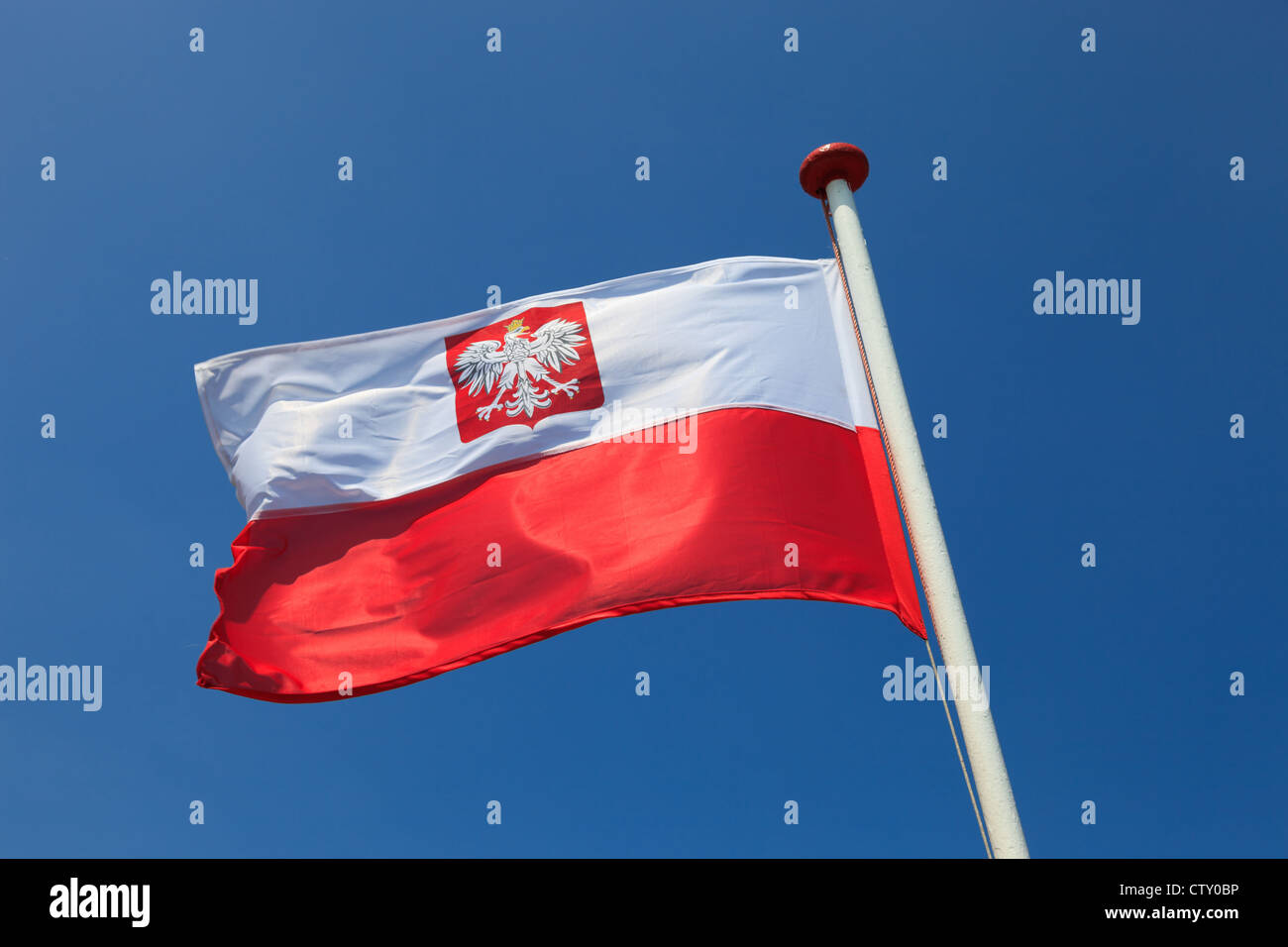 Drapeau national polonais dans le ciel. Banque D'Images