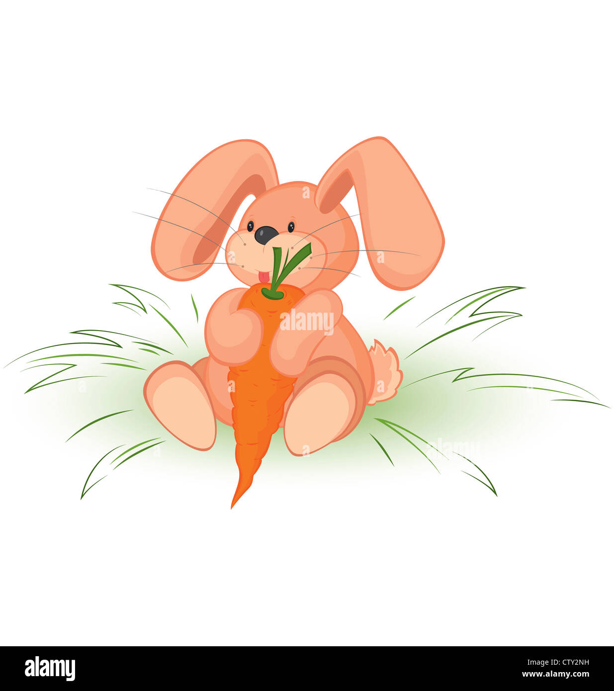 Lapin avec carotte vector illustration sur fond blanc. Banque D'Images