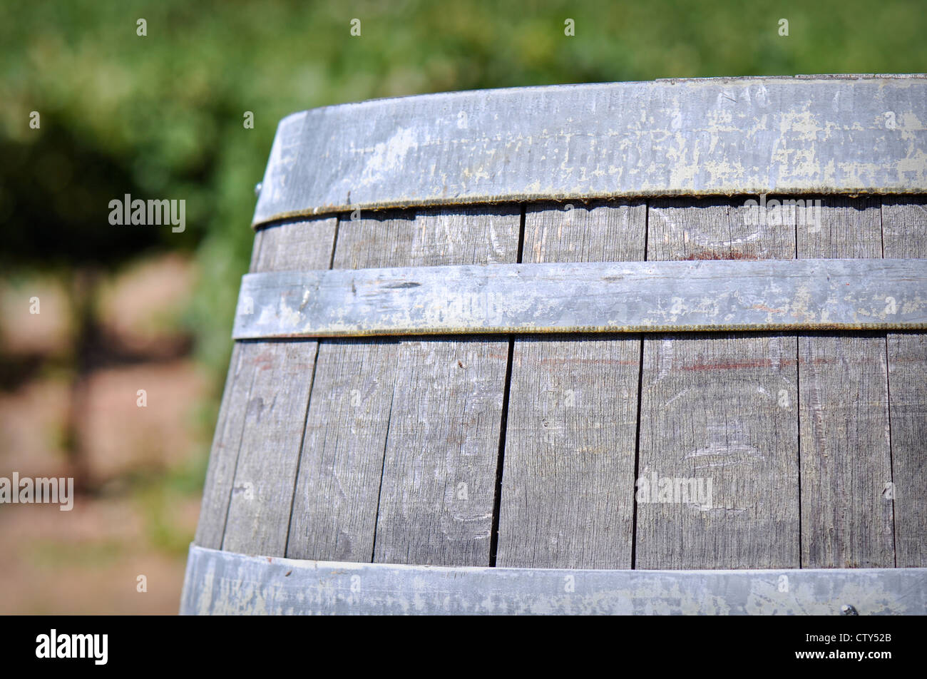 Baril de vin dans le vignoble Banque D'Images